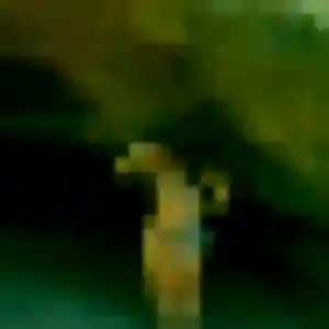 Photo sexy de Romane, 37 ans à Montbrehain - rencontre sans lendemain