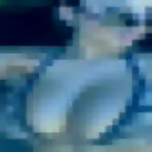 Photo exclusive de Inaya, 42 ans à Montcaret - plan discret