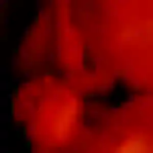 Photo de Justine à Montfaucon-en-Velay (30 ans) - plan cul anonyme