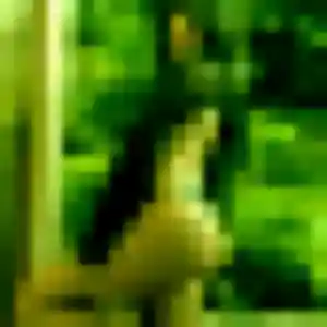 Photo sexy de Zelda, 23 ans à Montfort-l'Amaury - rencontre sans lendemain