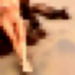 Tania, 41 ans, dispo pour plan cul à Montfort-sur-Meu
