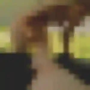 Yasmina, fille de 40 ans cherche plan cul à Montlouis-sur-Loire