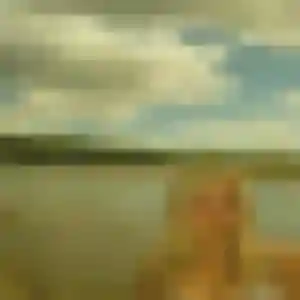 Photo perso de Ava, 38 ans à Montois-la-Montagne - rencontre coquine