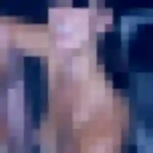 Photo privée de Typhaine, 33 ans à Montoldre - rencontre sans lendemain