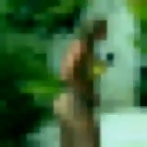 Profil de Camille à Montperreux (45 ans) - plan cul anonyme