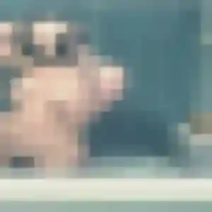 Photo perso de Rosalie, 33 ans à Montracol - plan discret