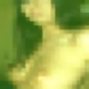 Katia, 37 ans, connectée à Montreuil pour une rencontre coquine