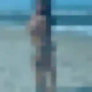 Photo privée de Ximena, 27 ans à Montrieux-en-Sologne - rencontre coquine