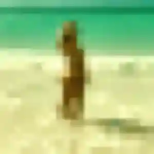 Rencontre Marie-France, 38 ans à Morbecque gratuitement