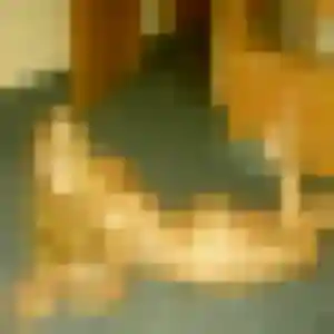 Photo privée de Romane, 45 ans à Morosaglia - plan discret