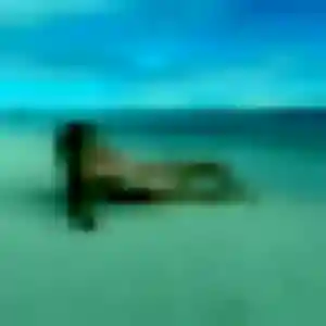 Sofia, femme de 32 ans cherche plan cul à Moyvillers