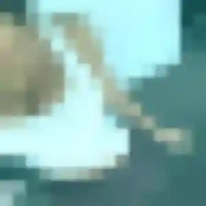 Corinne, fille de 30 ans cherche plan cul à Muhlbach-sur-Bruche