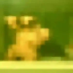 Ketty, 23 ans, connectée à Mussy-sur-Seine pour un plan cul