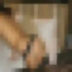 plan cul à Négrondes : photo de Angelique, 29 ans - sans engagement