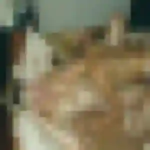 Photo de Ariane à Nérondes (31 ans) - plan cul anonyme