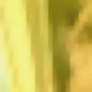 Giulia, 44 ans, connectée à Neuvic-Entier pour un plan cul