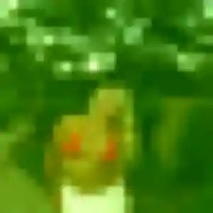 Photo privée de Maya, 44 ans à Neuvy-en-Sullias - plan discret