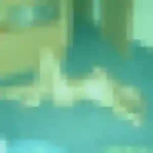 Photo de Sofia à Neuvy-Sautour (30 ans) - plan cul anonyme