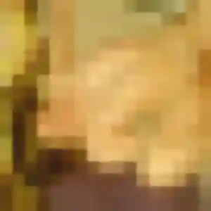 Photo privée de Whitney, 27 ans à Niederhaslach - rencontre sans lendemain