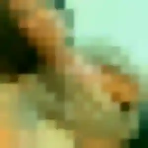 Photo sexy de Dounia, 40 ans à Niederrœdern - rencontre coquine