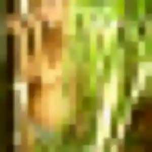 Photo de Leonore à Noailly (43 ans) - plan cul anonyme