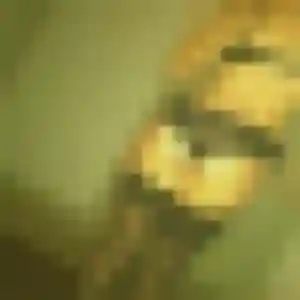 Lucie, 23 ans, dispo pour plan cul à Noiron-sous-Gevrey