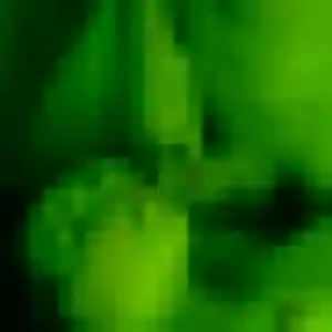Photo privée de Christine, 41 ans à Noisiel - rencontre sans lendemain