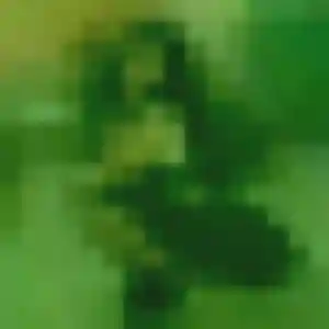 Kelly (45 ans) à Nontron cherche une rencontre ce soir
