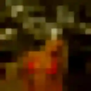 Photo sexy de Therese, 26 ans à Notre-Dame-des-Millières - rencontre coquine