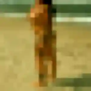 Whitney, 33 ans, connectée à Noyal-Muzillac pour une rencontre coquine