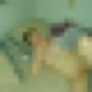 Angelique de Noyal, 45 ans - plan cul sans prise de tête