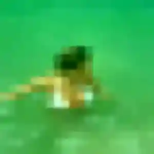 Lina, 30 ans, dispo pour plan cul à Onesse-Laharie