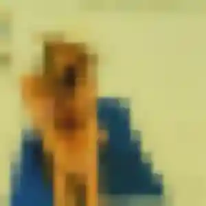 Gwendoline, femme de 28 ans cherche plan cul à Origny-Sainte-Benoite