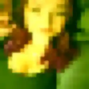 Photo exclusive de Ibtissam, 43 ans à Orliénas - rencontre coquine