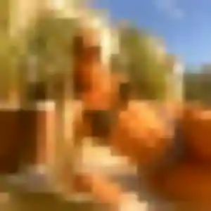 Photo exclusive de Celeste, 41 ans à Ormes - plan discret