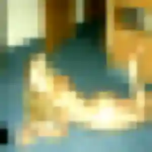 Ambre de Pagny-sur-Meuse, 44 ans - plan cul discret