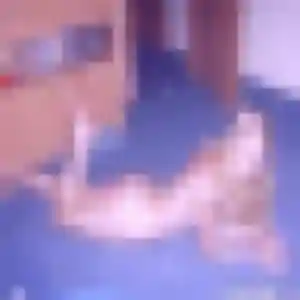 Sexy Verane, 34 ans à Palaminy - voir sa photo