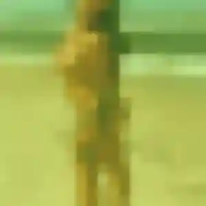 Jolie Eva, 31 ans à Pasly - la contacter