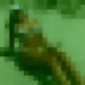 Profil de Violette à Pauilhac (23 ans) - plan cul gratuit