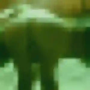 Photo de Marie-Laure à Pechbonnieu (24 ans) - plan cul anonyme