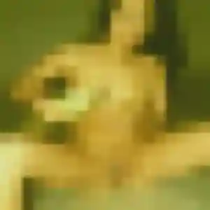 Photo de Lola à Perche en Nocé (28 ans) - plan cul anonyme