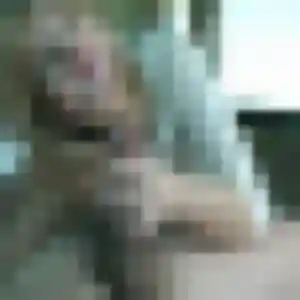 Charmante Marie-Cecile, 37 ans à Peschadoires - voir sa photo