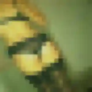 plan cul à Peyrignac : photo de Jacqueline, 43 ans - inscription gratuite