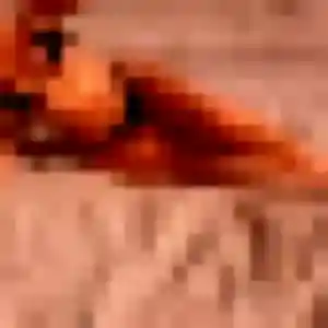 Photo perso de Salome, 23 ans à Peyssies - plan discret