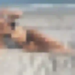 plan cul à Plainfaing : profil de Tania, 34 ans - accès libre