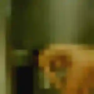 Photo de Severine à Plonévez-du-Faou (33 ans) - plan cul anonyme
