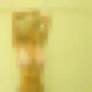 Profil de Inaya à Plounérin (29 ans) - plan cul discret