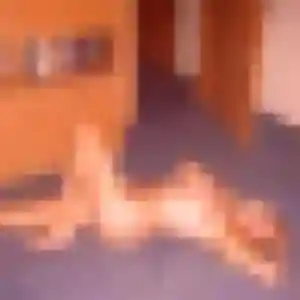Photo de Marilou à Plourin-lès-Morlaix (31 ans) - plan cul discret