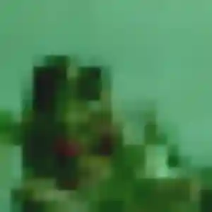 Photo exclusive de Oceane, 44 ans à Pocé-sur-Cisse - rencontre sans lendemain
