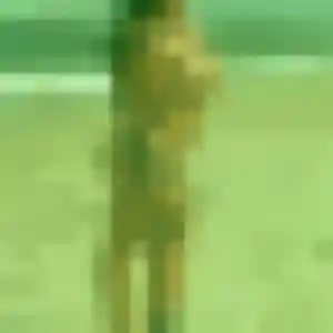 Isabella, 39 ans, disponible à Poitiers pour une rencontre coquine